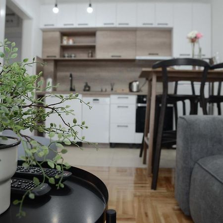 Apartment Dobraya Grey Novi Sad Eksteriør billede