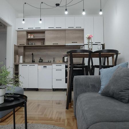 Apartment Dobraya Grey Novi Sad Eksteriør billede