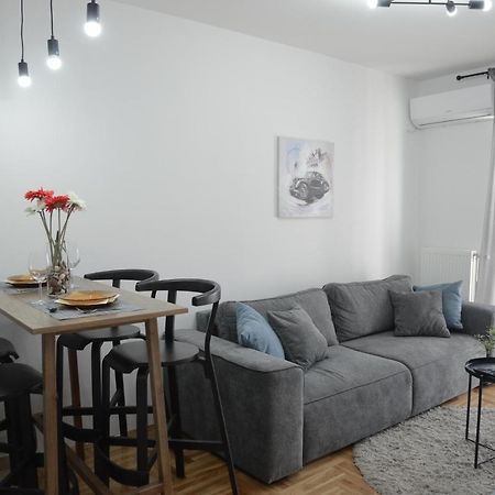 Apartment Dobraya Grey Novi Sad Eksteriør billede