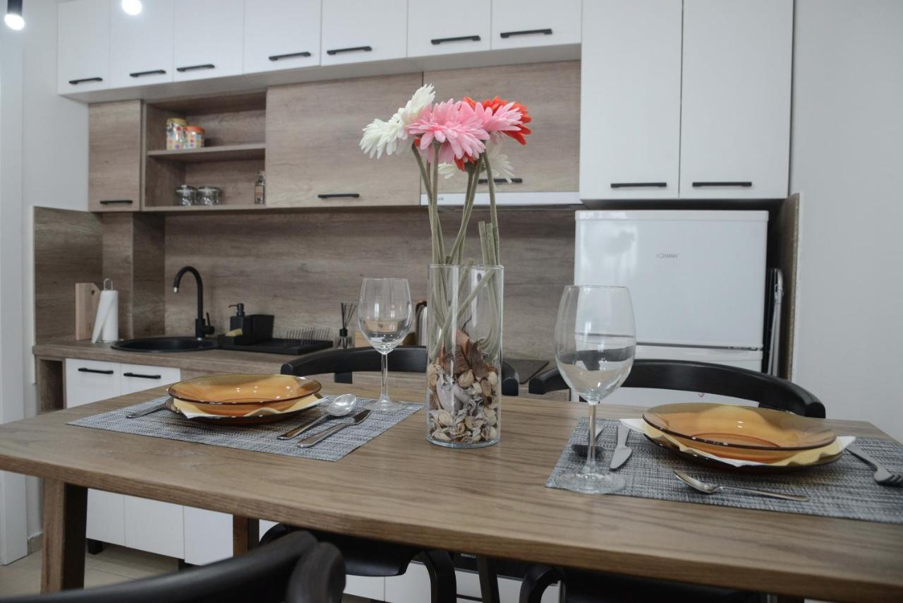 Apartment Dobraya Grey Novi Sad Eksteriør billede