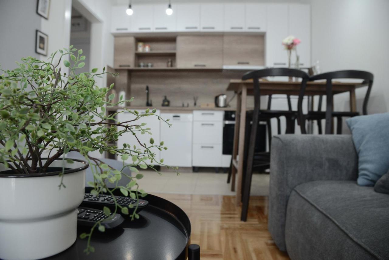 Apartment Dobraya Grey Novi Sad Eksteriør billede
