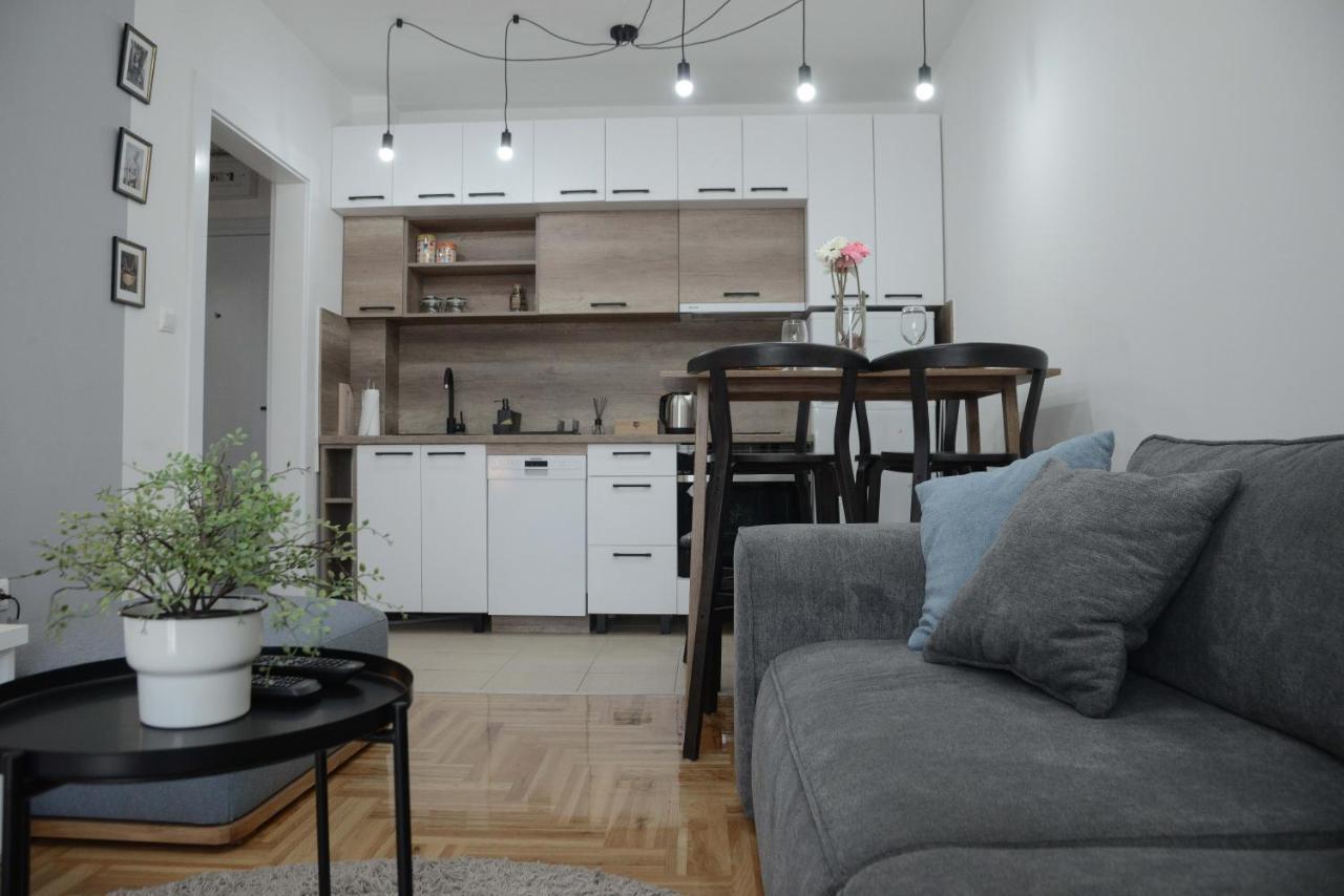 Apartment Dobraya Grey Novi Sad Eksteriør billede